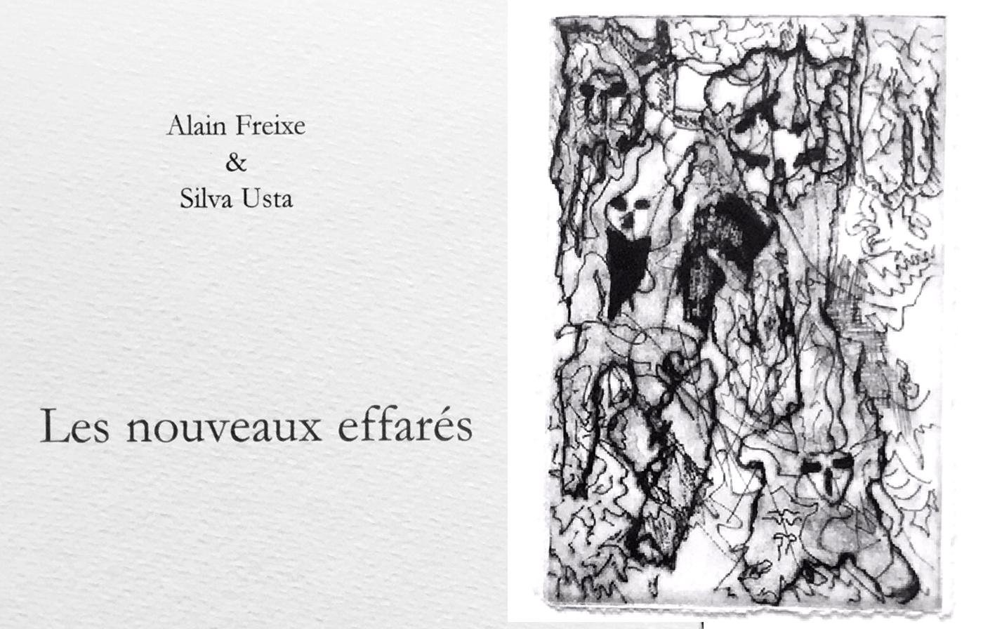 Les nouveau effarés - livre de Silva Usta et Alain Freixe
