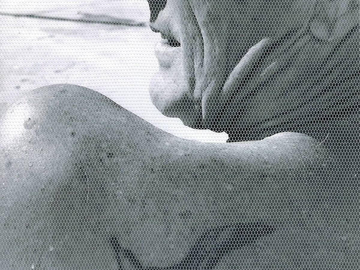 Tatoothérapie - Phlippe par Silva Usta