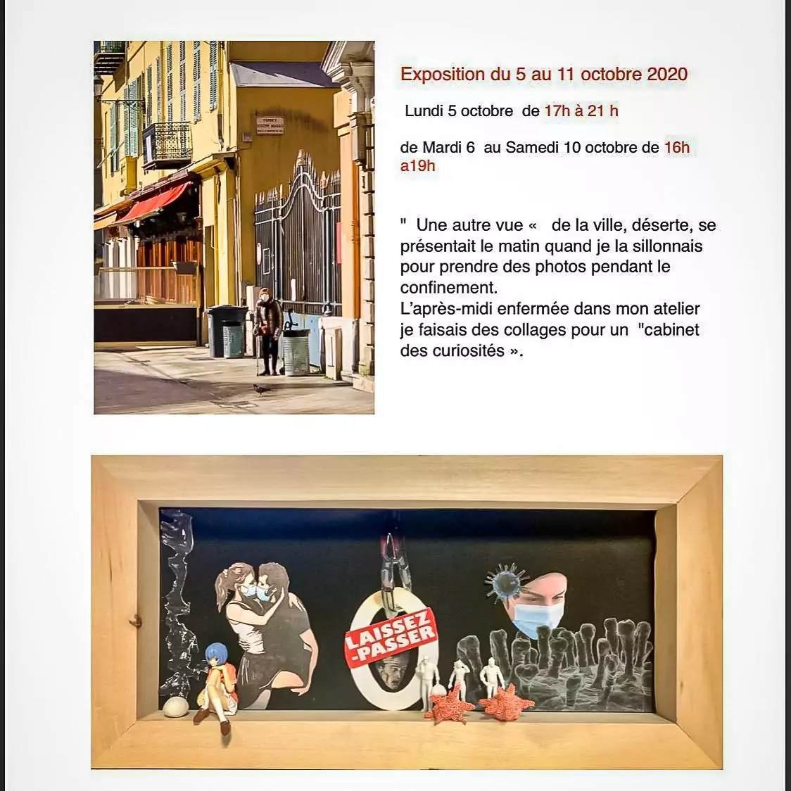 Cabinet of curiosities exhibition Exposition Cabinet des curiosités - Galerie des Dominicains - Siva Usta